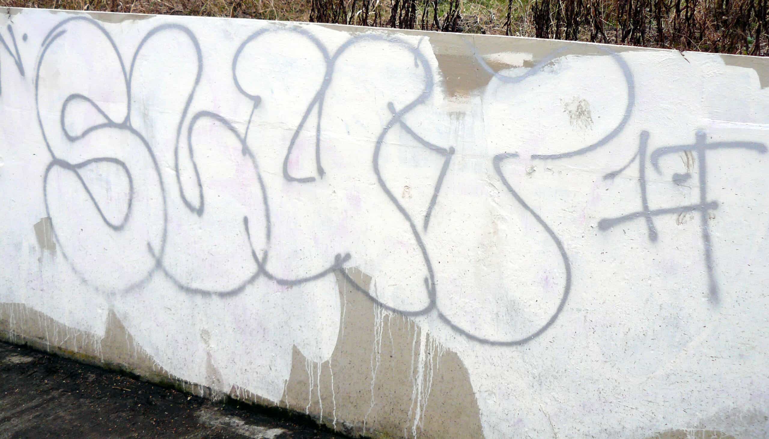 Cover Image for Supermarket Slut