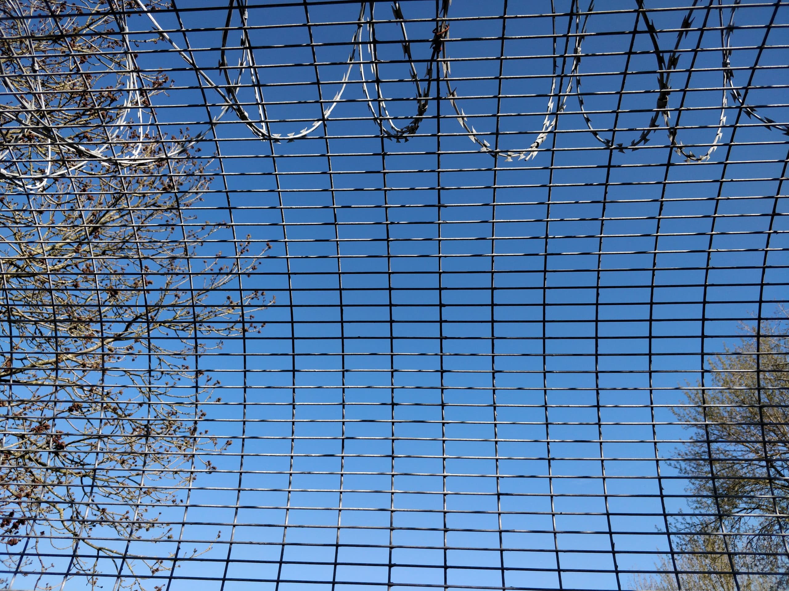 Cover Image for Another Year Without Escaping This Damn Stupid Country